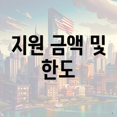 지원 금액 및 한도
