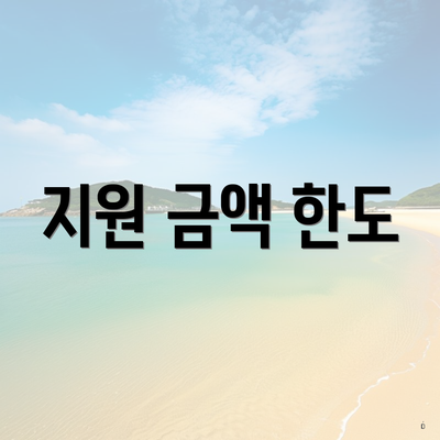 지원 금액 한도