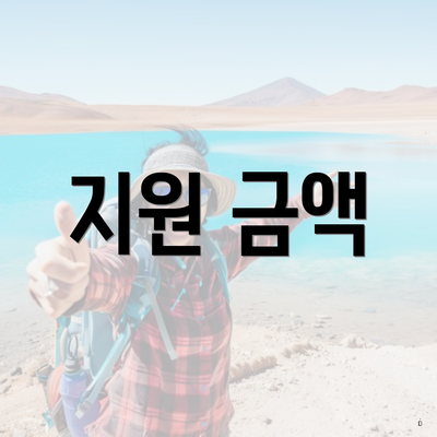 지원 금액