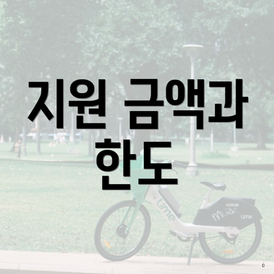 지원 금액과 한도