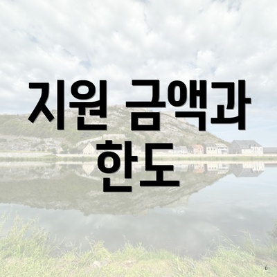 지원 금액과 한도