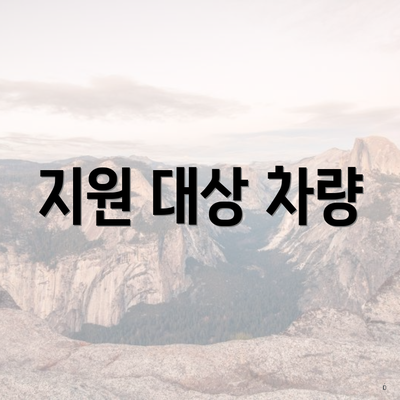 지원 대상 차량