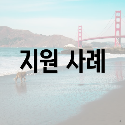 지원 사례