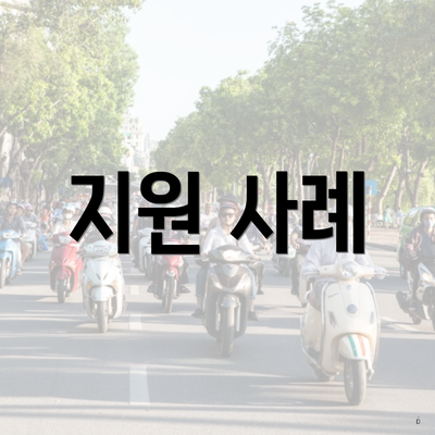 지원 사례