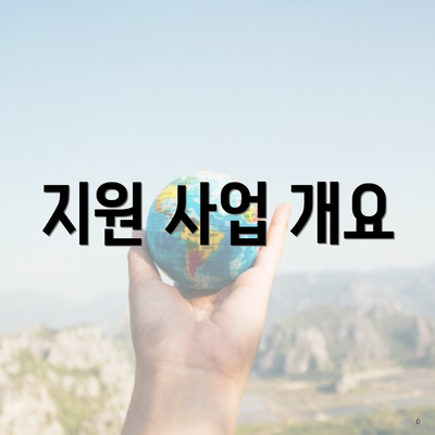 지원 사업 개요