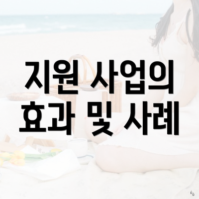 지원 사업의 효과 및 사례