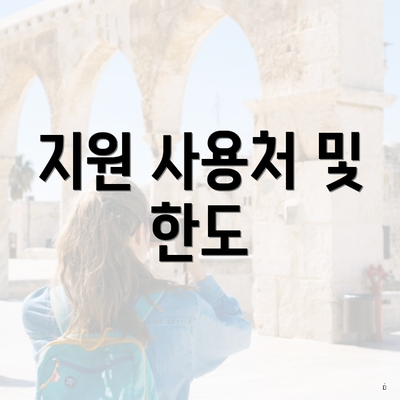 지원 사용처 및 한도