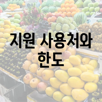 지원 사용처와 한도