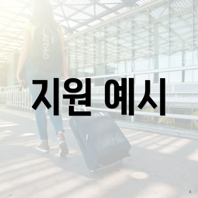 지원 예시