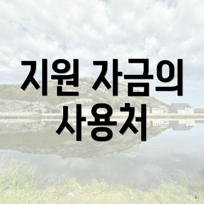 지원 자금의 사용처