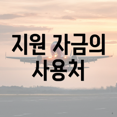 지원 자금의 사용처