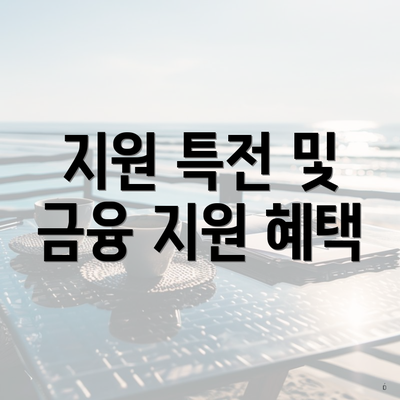 지원 특전 및 금융 지원 혜택