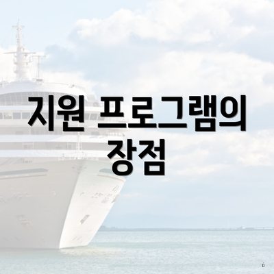 지원 프로그램의 장점