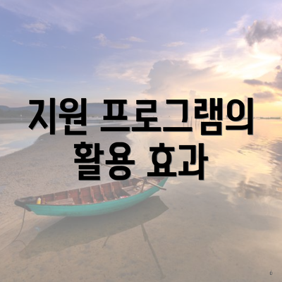 지원 프로그램의 활용 효과