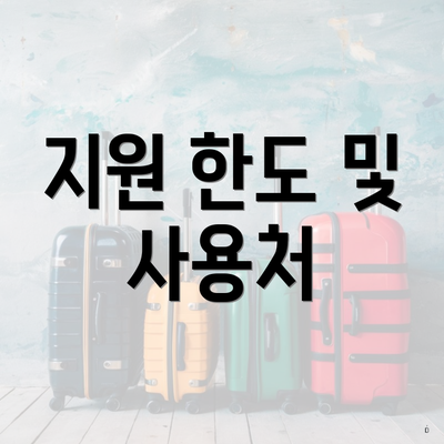 지원 한도 및 사용처