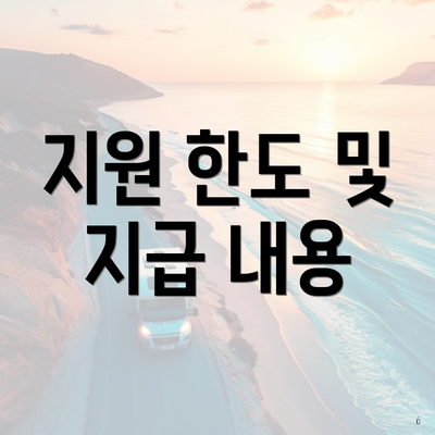 지원 한도 및 지급 내용
