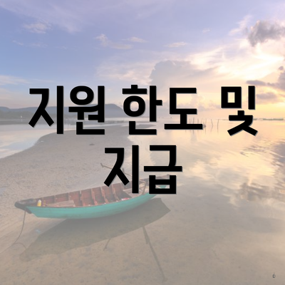 지원 한도 및 지급