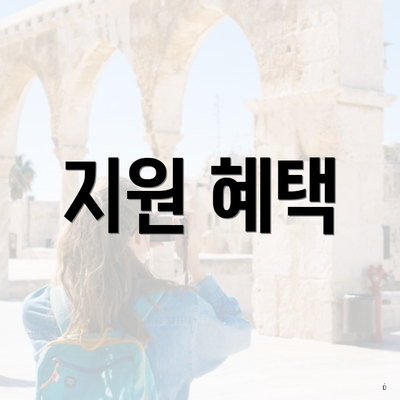 지원 혜택