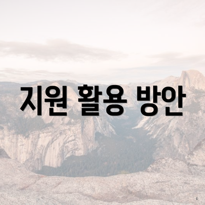 지원 활용 방안