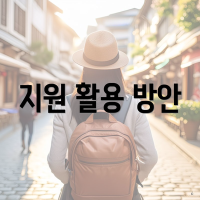 지원 활용 방안