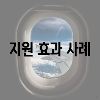 지원 효과 사례
