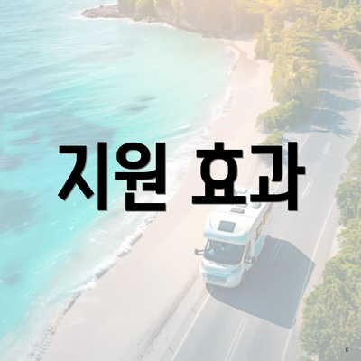 지원 효과