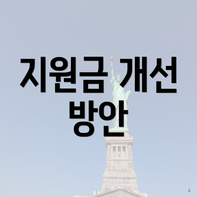 지원금 개선 방안