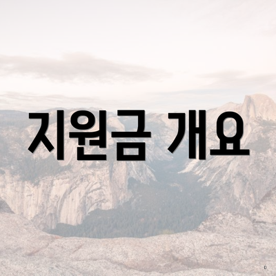 지원금 개요