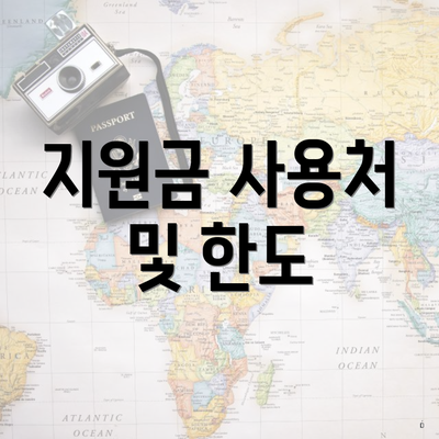 지원금 사용처 및 한도