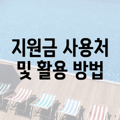 지원금 사용처 및 활용 방법