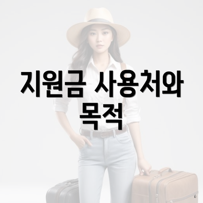 지원금 사용처와 목적