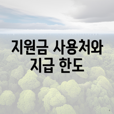 지원금 사용처와 지급 한도