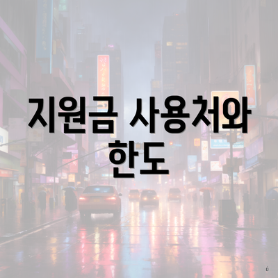 지원금 사용처와 한도
