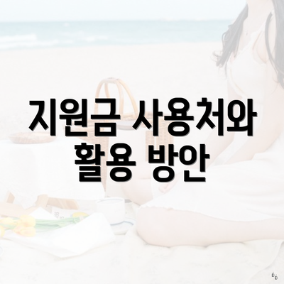 지원금 사용처와 활용 방안