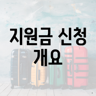 지원금 신청 개요