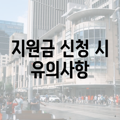 지원금 신청 시 유의사항