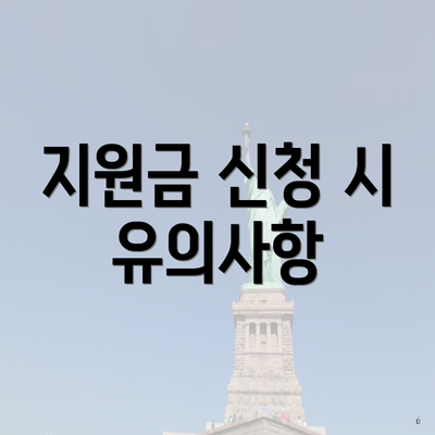 지원금 신청 시 유의사항