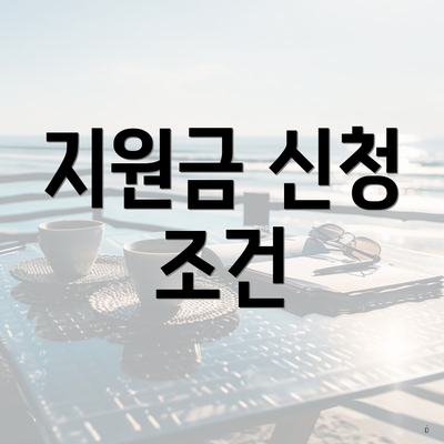지원금 신청 조건