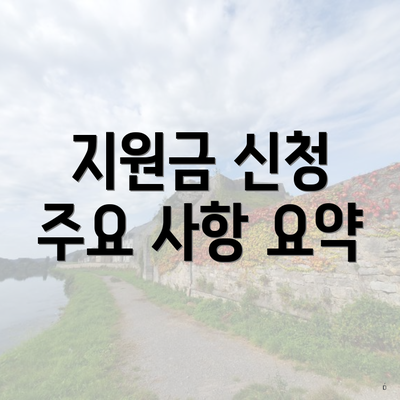 지원금 신청 주요 사항 요약