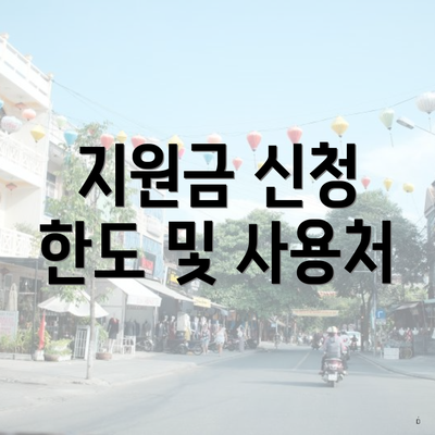 지원금 신청 한도 및 사용처
