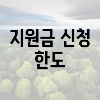 지원금 신청 한도
