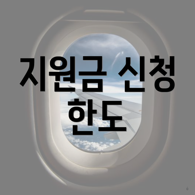 지원금 신청 한도