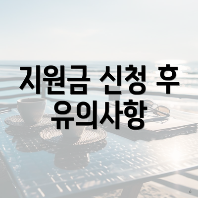 지원금 신청 후 유의사항