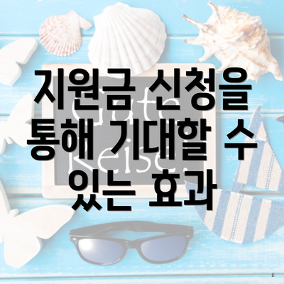 지원금 신청을 통해 기대할 수 있는 효과