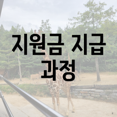지원금 지급 과정