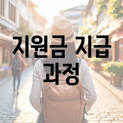 지원금 지급 과정