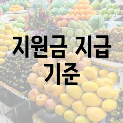 지원금 지급 기준