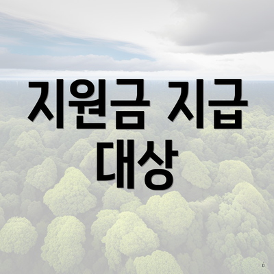 지원금 지급 대상