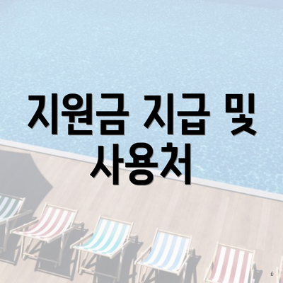 지원금 지급 및 사용처