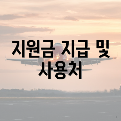 지원금 지급 및 사용처